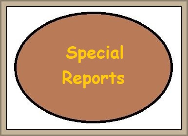 special_reports
